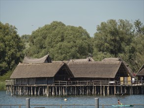 Traditional pile dwellings on the lakeshore surrounded by trees on a calm summer day, Meersburg,