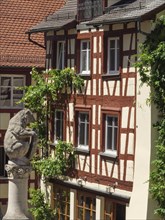 Historic half-timbered house with a bear figure and ivy climbing the façade, Meersburg, Germany,