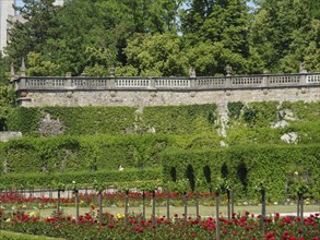 A picturesque garden with blooming red roses, surrounded by green hedges and a stone wall,