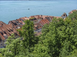 View from above of houses with red roofs, surrounded by trees, on the shore of a lake, Meersburg,