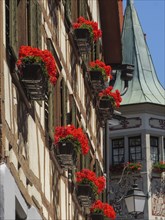 Several balconies of a half-timbered house, decorated with red flowers, under a bright blue sky,