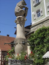 Stone fountain with a lion sculpture and flowers in front of a historic building, Meersburg, Lake