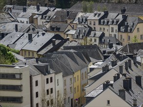 An urban scene with closely built houses and slate roofs, Luxembourg City, Luxembourg, Europe