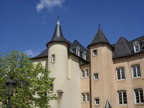 Historic building complex with striking towers and slate roofs, including a tree under a blue sky,