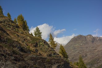 Autumnal mountain landscape with groups of trees and rocks under a blue sky with scattered clouds,