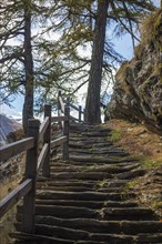 A wooden staircase leads uphill through a forest, surrounded by trees and mountains in the