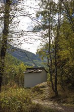 A small hut stands in the forest, surrounded by autumnal trees and a narrow path, Saas Fee,