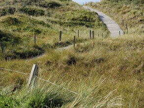 Wooden path through a grassy dune landscape with wooden poles and cloudy sky, Spiekeroog, East