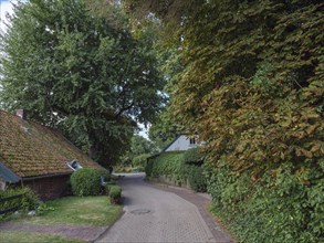 A rural road lined with trees and houses with green hedges, Spiekeroog, East Frisia, GERMANY