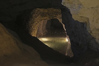 Monsted lime pits, Jutland, Denmark, 10000 bats hibernate here, Europe