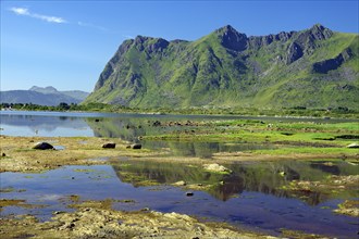 Calm fjord with impressive mountains in the background, Green vegetation and clear reflection in