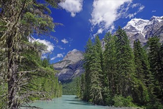 Picturesque mountain landscape with emerald green river, surrounded by tall, dense trees and clear