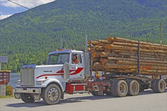 Lorry transporting large logs on the road in a picturesque mountain landscape surrounded by dense