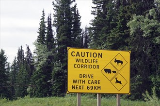 Traffic sign warning of a wildlife corridor to avoid car accidents with animals in the forest,