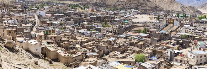 Sea of houses in Leh, Ladakh, Jammu and Kashmir, India, Asia