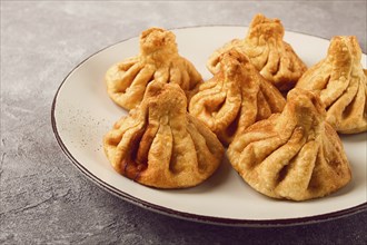 Deep-fried khinkali, khinkali with meat, traditional Georgian dish, no people