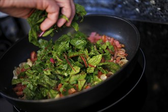 Swabian cuisine, preparation chard for stuffed pancakes with pine nuts, sauté vegetables and