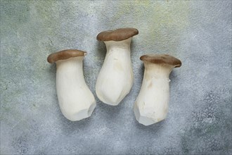 Fresh eringi mushrooms, raw, royal oyster mushrooms, three pieces, Asian cuisine, no people