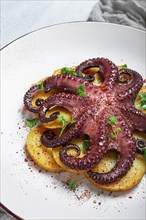 Octopus with potatoes and spices, on a light plate, top view, no people, homemade, close-up