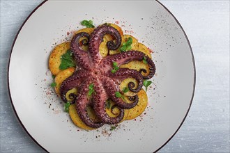 Octopus with potatoes and spices, on a light plate, top view, no people, homemade, close-up