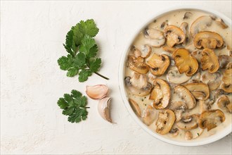 Mushrooms in creamy garlic sauce, with herbs and spices, gravy, sauce, no people