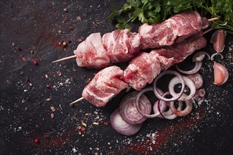 Rohes Schweinefleisch, eingelegter Schaschlik, mit Gewürzen, Ansicht von oben, ohne Personen