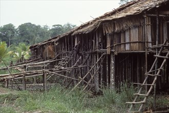 Asmat people: ethnic group living in the Papua province of Indonesia, along the Arafura Sea.