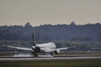 A Lufthansa aircraft lands at Berlin Brandenburg Airport 'Willy Brandt'Äô (BER) in Schönefeld,