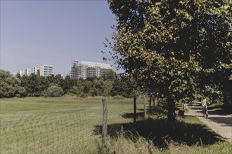 Blocks of flats in the countryside in Marzahn, photographed in Berlin, 07/08/2024