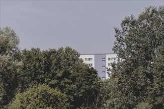 Blocks of flats in the countryside in Marzahn, photographed in Berlin, 07/08/2024