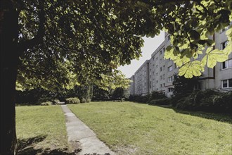 Blocks of flats in the countryside in Marzahn, photographed in Berlin, 07/08/2024