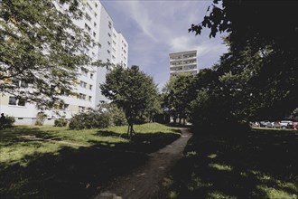 Blocks of flats in the countryside in Marzahn, photographed in Berlin, 07/08/2024