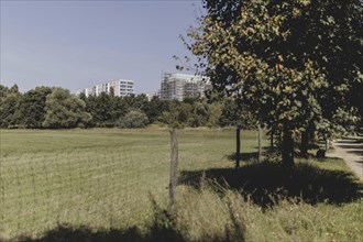 Blocks of flats in the countryside in Marzahn, photographed in Berlin, 07/08/2024