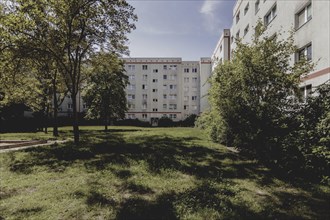 Blocks of flats in the countryside in Marzahn, photographed in Berlin, 07/08/2024