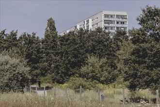 Blocks of flats in the countryside in Marzahn, photographed in Berlin, 07/08/2024