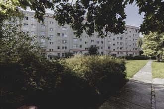 Blocks of flats in the countryside in Marzahn, photographed in Berlin, 07/08/2024