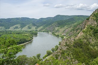 View from Dürnstein castle in spring, Dürnstein, Danubia river, Wachau, Austria, Europe