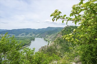 View from Dürnstein castle in spring, Dürnstein, Danubia river, Wachau, Austria, Europe