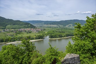 View from Dürnstein castle in spring, Dürnstein, Danubia river, Wachau, Austria, Europe