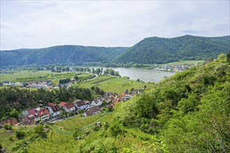 View from Dürnstein castle in spring, Dürnstein, Danubia river, Wachau, Austria, Europe