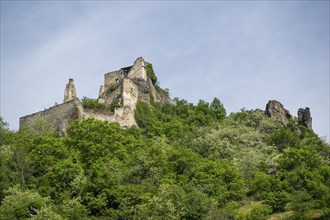 Dürnstein castle ruins in spring, Austria, Europe