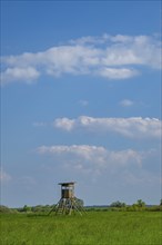 An hunting blind stands on a tall meadow, above it clouds in the sky near Pfatter, Upper