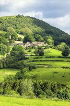 Farms in North York Moors National Park, Yorkshire, England, United Kingdom, Europe