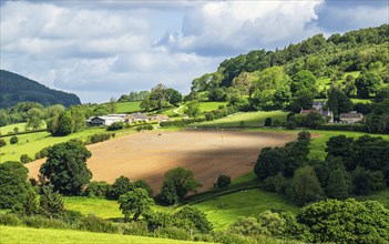 Farms in North York Moors National Park, Yorkshire, England, United Kingdom, Europe