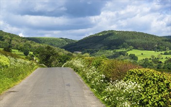 Farms in North York Moors National Park, Yorkshire, England, United Kingdom, Europe