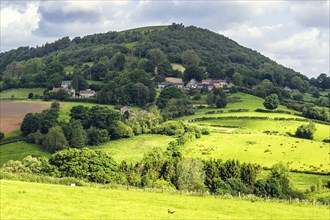 Farms in North York Moors National Park, Yorkshire, England, United Kingdom, Europe