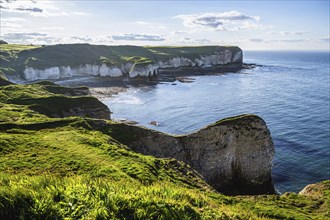 Cliffs over Flamborough Seawatch Observatory, Flamborough, Yorkshire, England, United Kingdom,