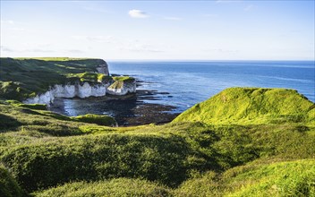 Cliffs over Flamborough Seawatch Observatory, Flamborough, Yorkshire, England, United Kingdom,