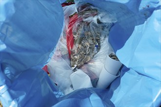 Rubbish in a blue bin liner in a wastepaper basket, top view, Germany, Europe