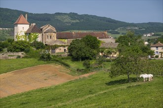 Le château des Moines, castle and chapel, chapel of the monks, chapel of a former Cluniac priory,